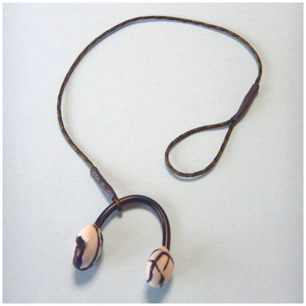 �m�[�Y�v���O